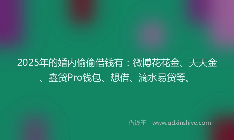 2025年的婚内偷偷借钱有：微博花花金、天天金、鑫贷Pro钱包、想借、滴水易贷等。