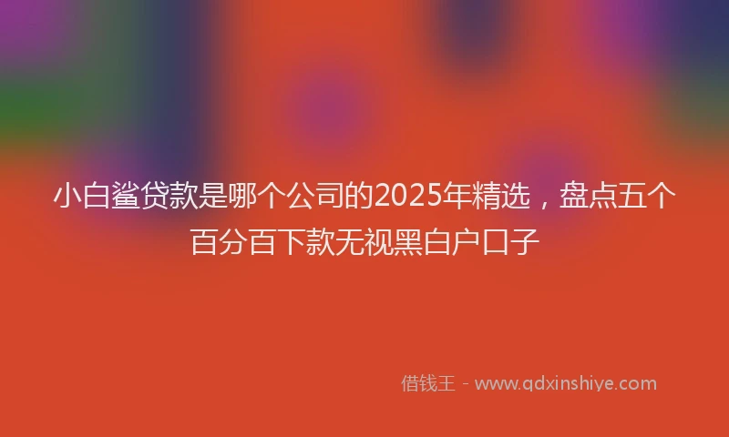 小白鲨贷款是哪个公司的2025年精选，盘点五个百分百下款无视黑白户口子