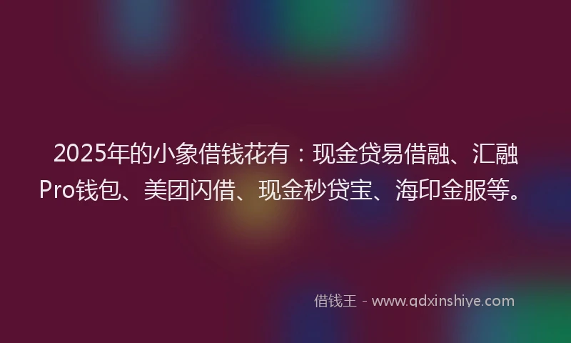 2025年的小象借钱花有：现金贷易借融、汇融Pro钱包、美团闪借、现金秒贷宝、海印金服等。