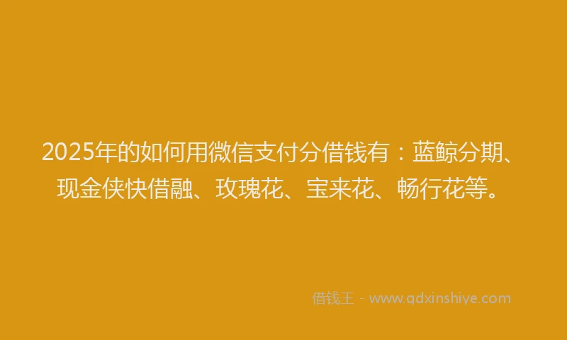 2025年的如何用微信支付分借钱有：蓝鲸分期、现金侠快借融、玫瑰花、宝来花、畅行花等。