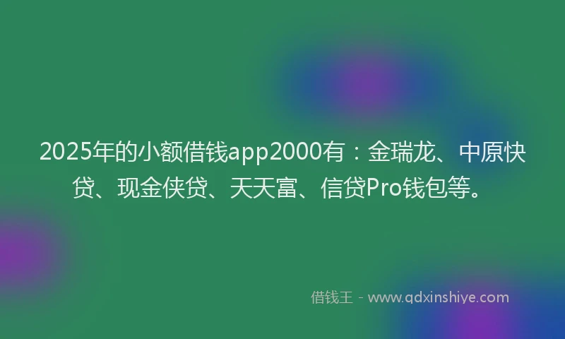 2025年的小额借钱app2000有：金瑞龙、中原快贷、现金侠贷、天天富、信贷Pro钱包等。