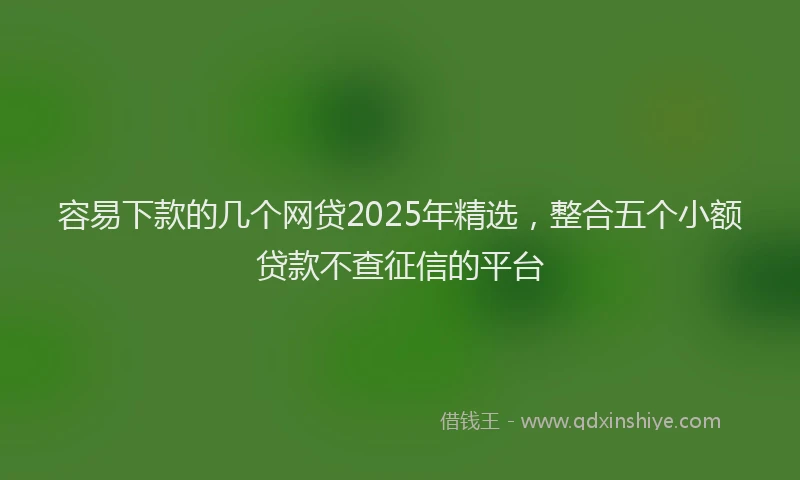 容易下款的几个网贷2025年精选，整合五个小额贷款不查征信的平台