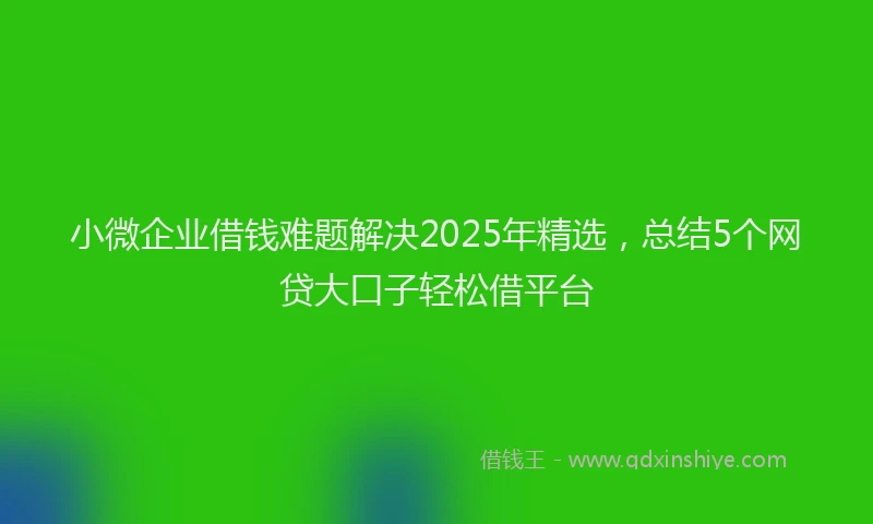 小微企业借钱难题解决2025年精选，总结5个网贷大口子轻松借平台