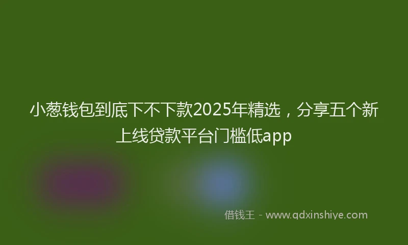 小葱钱包到底下不下款2025年精选，分享五个新上线贷款平台门槛低app