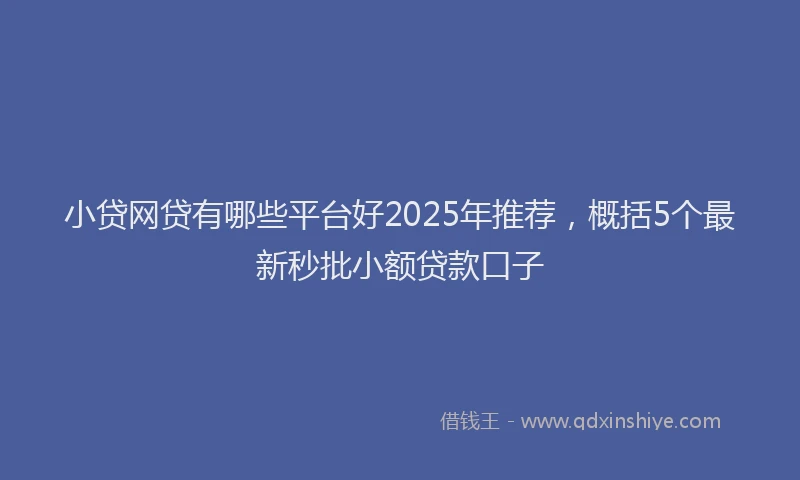 小贷网贷有哪些平台好2025年推荐，概括5个最新秒批小额贷款口子