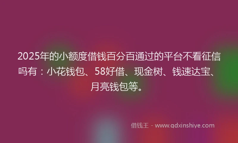 2025年的小额度借钱百分百通过的平台不看征信吗有：小花钱包、58好借、现金树、钱速达宝、月亮钱包等。