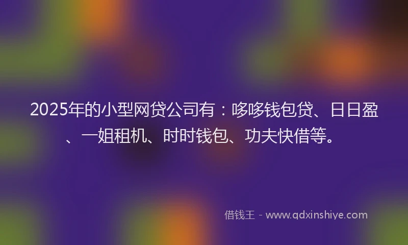 2025年的小型网贷公司有：哆哆钱包贷、日日盈、一姐租机、时时钱包、功夫快借等。