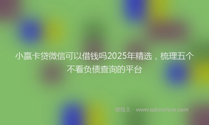 小赢卡贷微信可以借钱吗2025年精选，梳理五个不看负债查询的平台