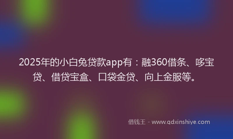 2025年的小白兔贷款app有：融360借条、哆宝贷、借贷宝盒、口袋金贷、向上金服等。