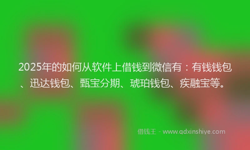 2025年的如何从软件上借钱到微信有：有钱钱包、迅达钱包、甄宝分期、琥珀钱包、疾融宝等。