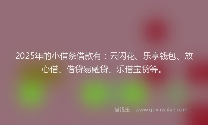 2025年的小借条借款有：云闪花、乐享钱包、放心借、借贷易融贷、乐借宝贷等。