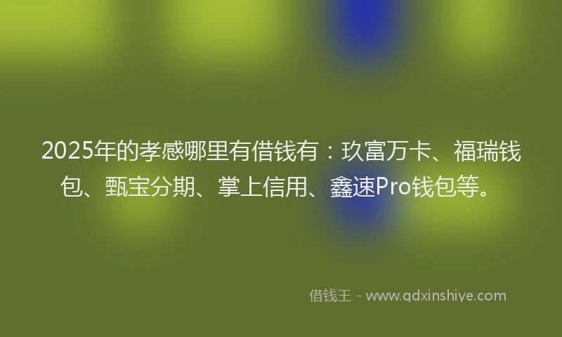 2025年的孝感哪里有借钱有：玖富万卡、福瑞钱包、甄宝分期、掌上信用、鑫速Pro钱包等。