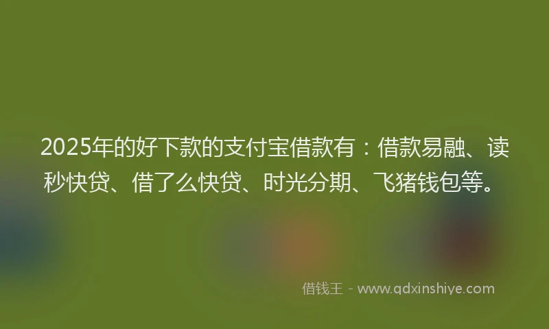 2025年的好下款的支付宝借款有：借款易融、读秒快贷、借了么快贷、时光分期、飞猪钱包等。