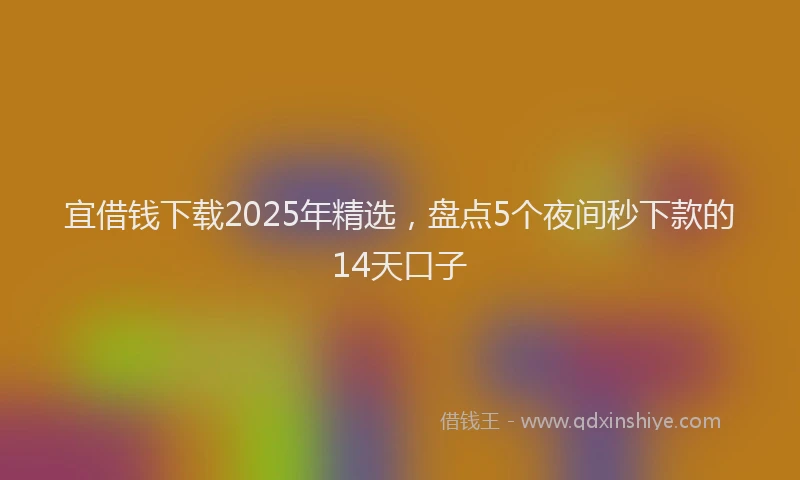 宜借钱下载2025年精选，盘点5个夜间秒下款的14天口子