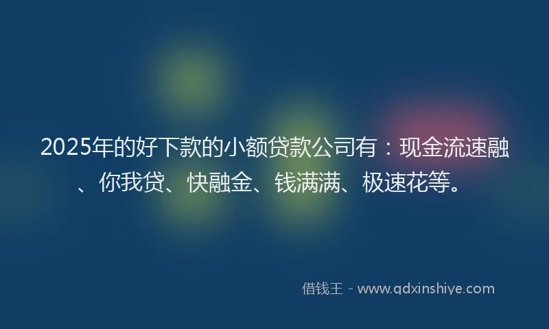 2025年的好下款的小额贷款公司有：现金流速融、你我贷、快融金、钱满满、极速花等。