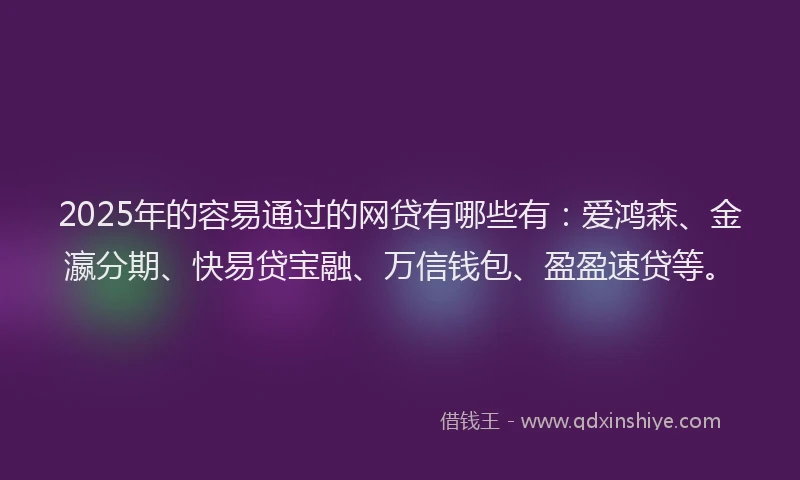2025年的容易通过的网贷有哪些有：爱鸿森、金瀛分期、快易贷宝融、万信钱包、盈盈速贷等。