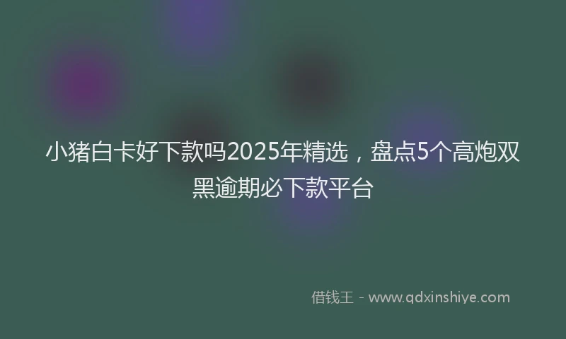 小猪白卡好下款吗2025年精选，盘点5个高炮双黑逾期必下款平台