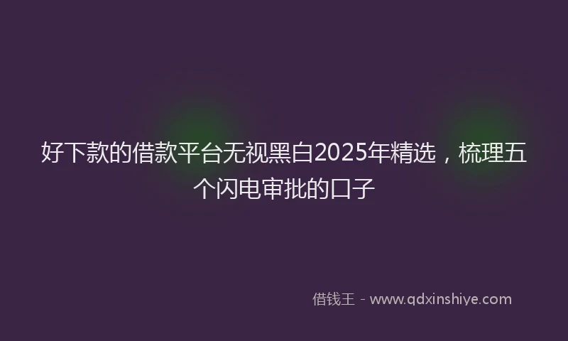 好下款的借款平台无视黑白2025年精选，梳理五个闪电审批的口子