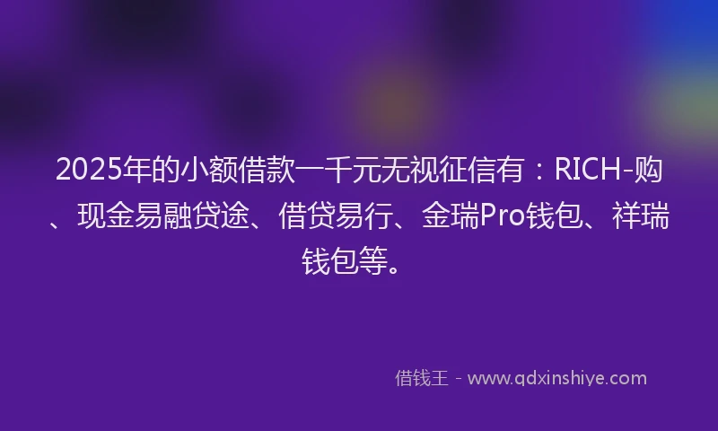 2025年的小额借款一千元无视征信有:RICH-购、现金易融贷途、借贷易行、金瑞Pro钱包、祥瑞钱包等。