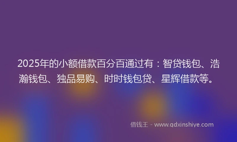 2025年的小额借款百分百通过有：智贷钱包、浩瀚钱包、独品易购、时时钱包贷、星辉借款等。