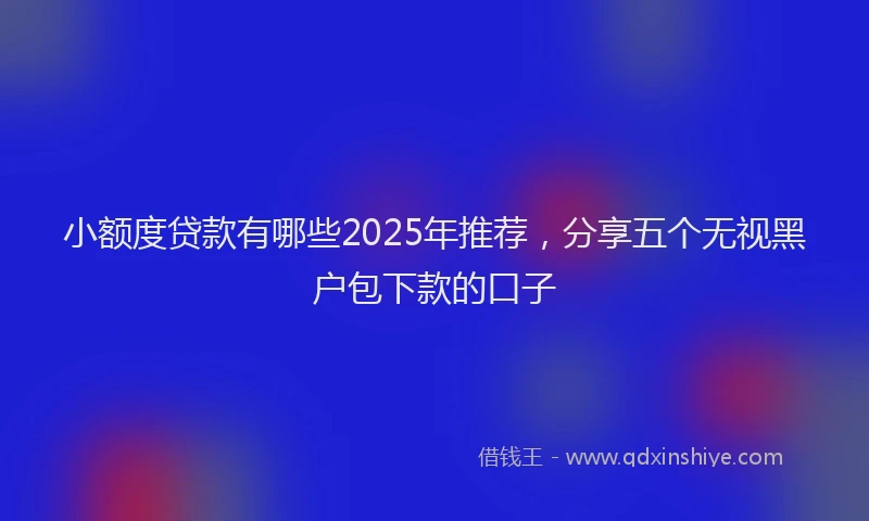 小额度贷款有哪些2025年推荐，分享五个无视黑户包下款的口子