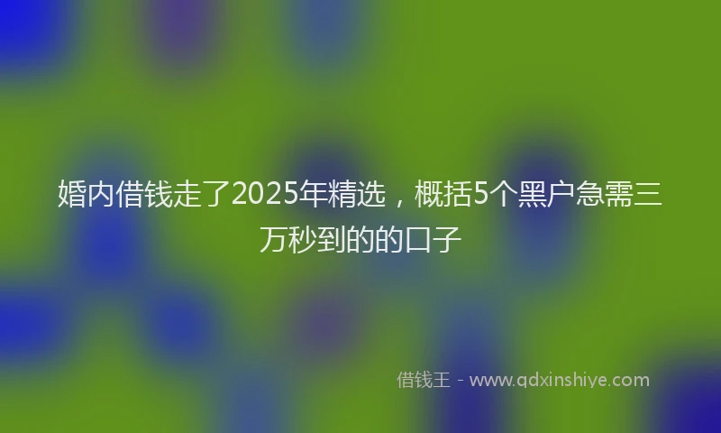 婚内借钱走了2025年精选，概括5个黑户急需三万秒到的的口子