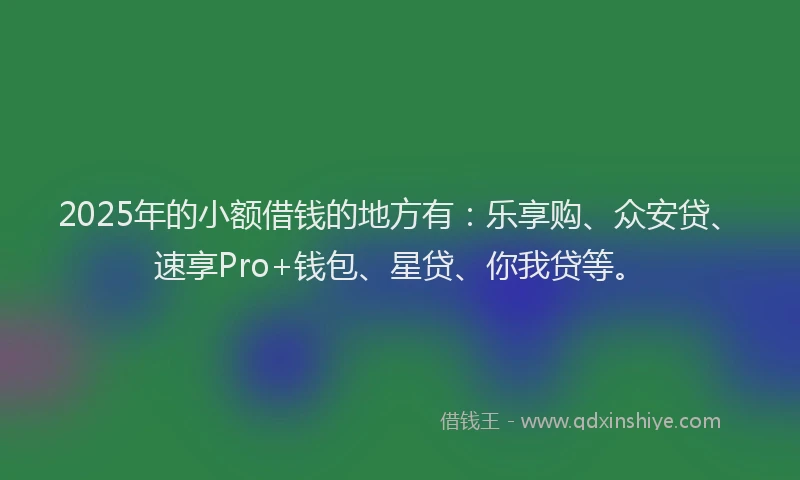 2025年的小额借钱的地方有：乐享购、众安贷、速享Pro+钱包、星贷、你我贷等。