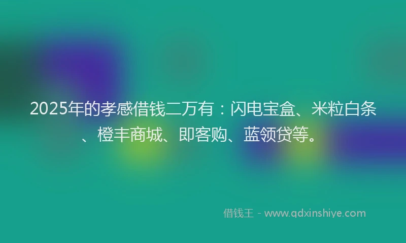 2025年的孝感借钱二万有：闪电宝盒、米粒白条、橙丰商城、即客购、蓝领贷等。