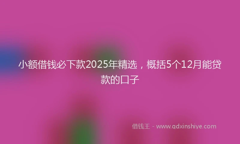 小额借钱必下款2025年精选，概括5个12月能贷款的口子