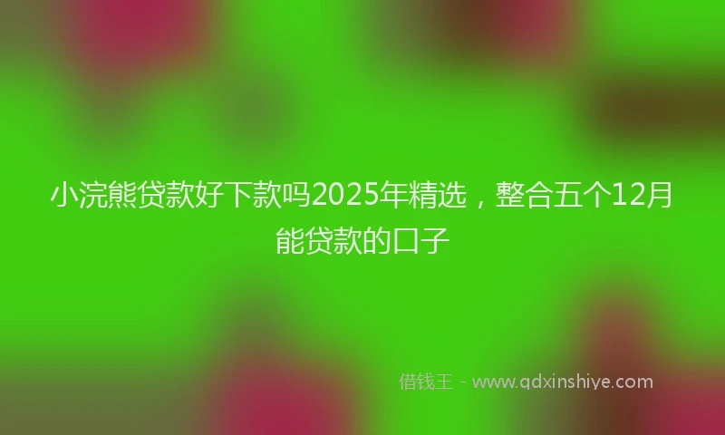 小浣熊贷款好下款吗2025年精选，整合五个12月能贷款的口子