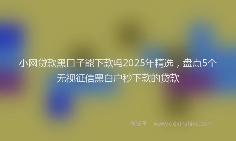 小网贷款黑口子能下款吗2025年精选，盘点5个无视征信黑白户秒下款的贷款