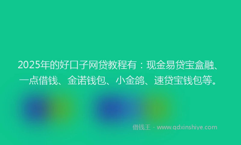 2025年的好口子网贷教程有：现金易贷宝盒融、一点借钱、金诺钱包、小金鸽、速贷宝钱包等。