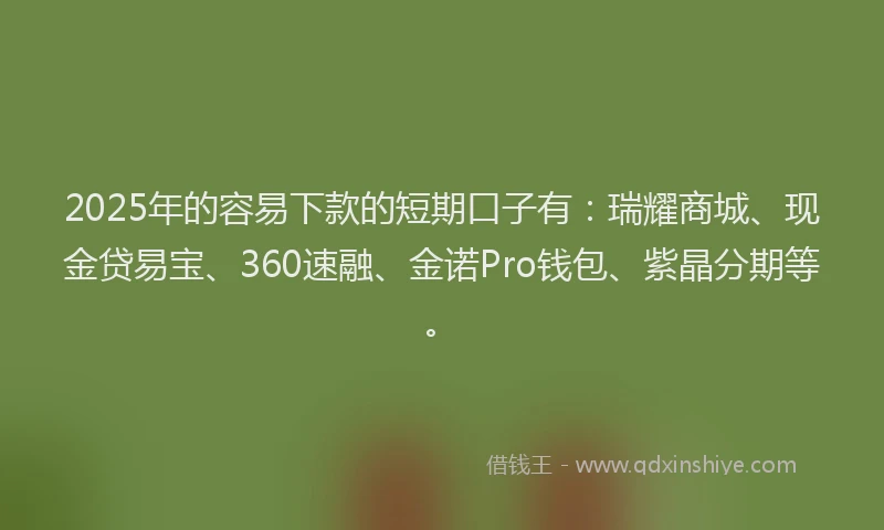 2025年的容易下款的短期口子有：瑞耀商城、现金贷易宝、360速融、金诺Pro钱包、紫晶分期等。
