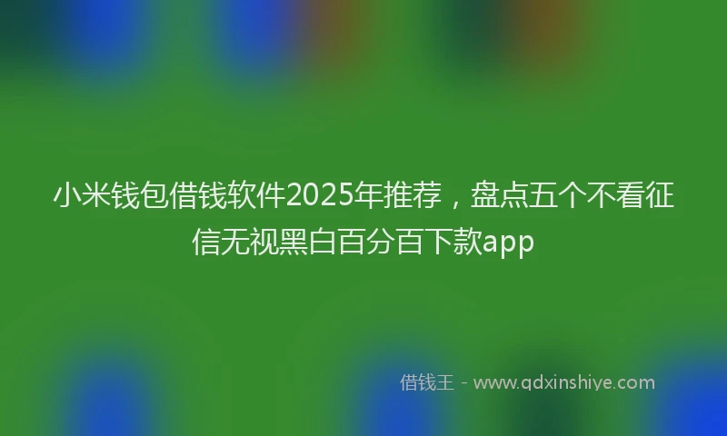 小米钱包借钱软件2025年推荐，盘点五个不看征信无视黑白百分百下款app