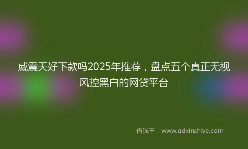 威震天好下款吗2025年推荐，盘点五个真正无视风控黑白的网贷平台