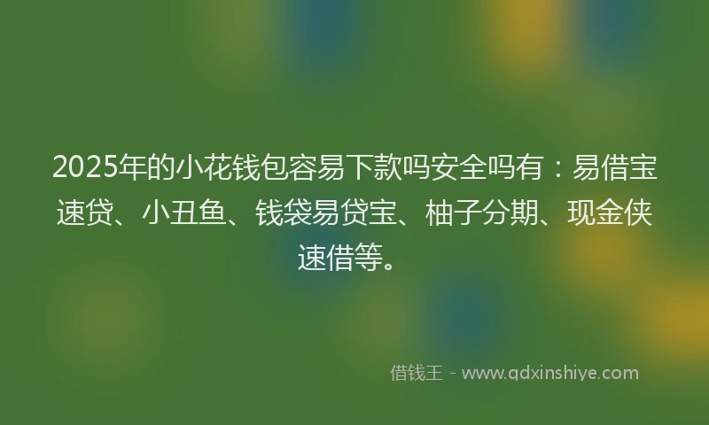 2025年的小花钱包容易下款吗安全吗有：易借宝速贷、小丑鱼、钱袋易贷宝、柚子分期、现金侠速借等。