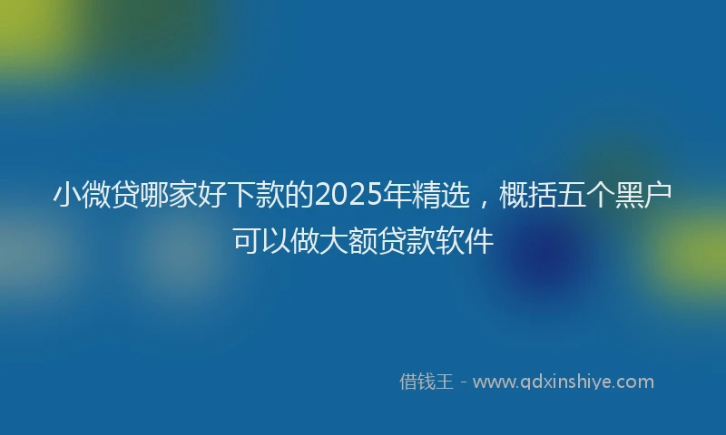 小微贷哪家好下款的2025年精选，概括五个黑户可以做大额贷款软件