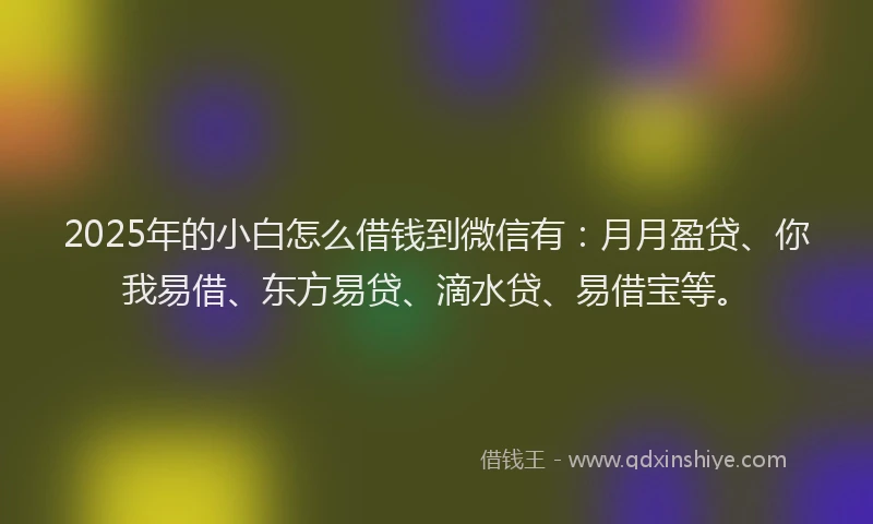 2025年的小白怎么借钱到微信有：月月盈贷、你我易借、东方易贷、滴水贷、易借宝等。