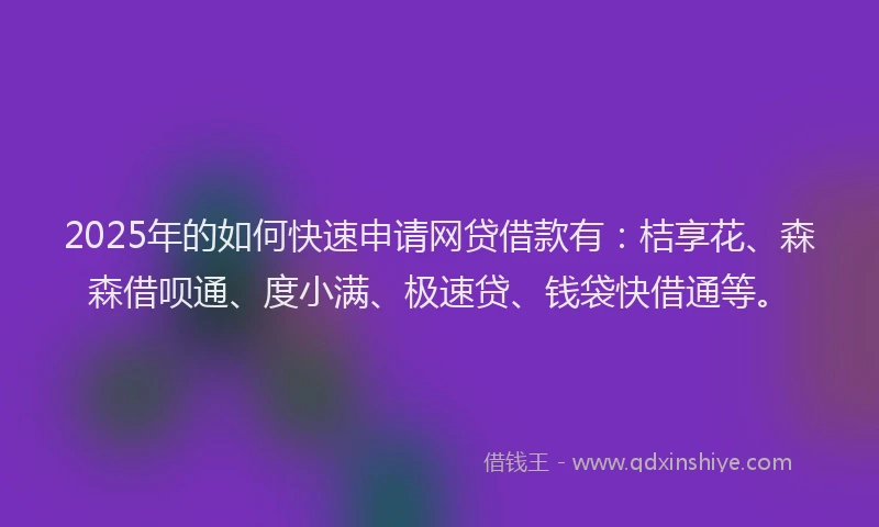2025年的如何快速申请网贷借款有：桔享花、森森借呗通、度小满、极速贷、钱袋快借通等。