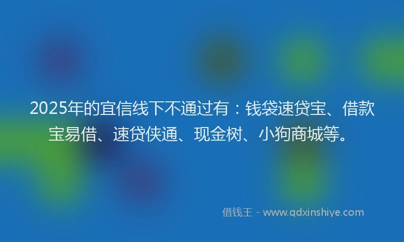 2025年的宜信线下不通过有：钱袋速贷宝、借款宝易借、速贷侠通、现金树、小狗商城等。