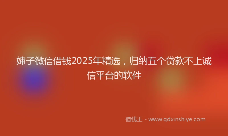 婶子微信借钱2025年精选，归纳五个贷款不上诚信平台的软件