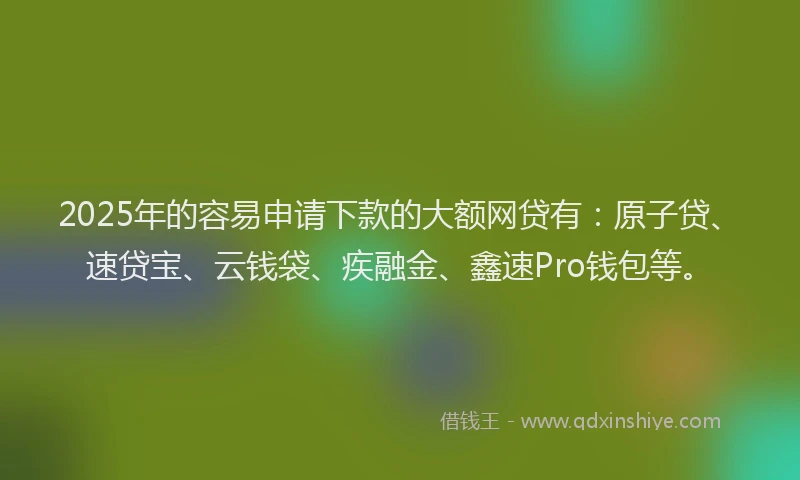 2025年的容易申请下款的大额网贷有：原子贷、速贷宝、云钱袋、疾融金、鑫速Pro钱包等。