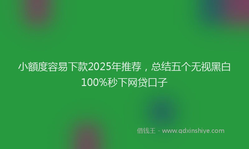 小額度容易下款2025年推荐，总结五个无视黑白100%秒下网贷口子