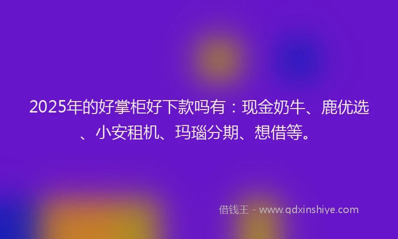 2025年的好掌柜好下款吗有：现金奶牛、鹿优选、小安租机、玛瑙分期、想借等。