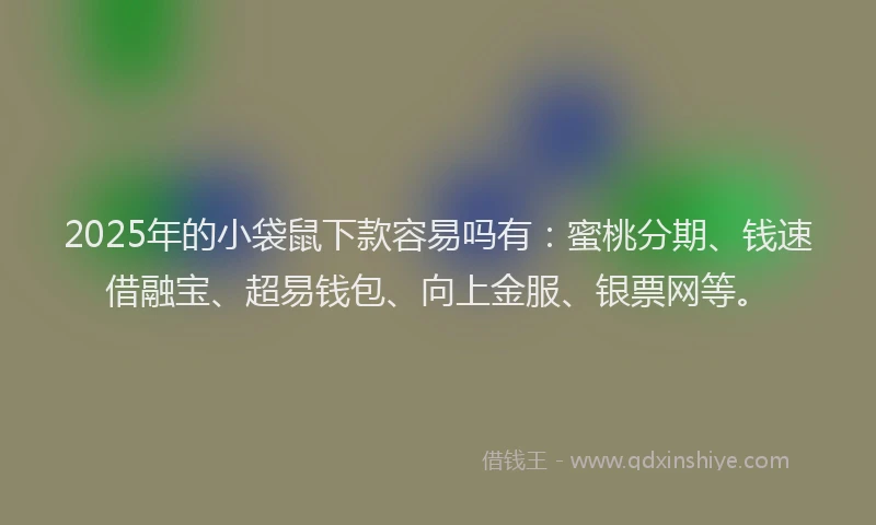 2025年的小袋鼠下款容易吗有：蜜桃分期、钱速借融宝、超易钱包、向上金服、银票网等。