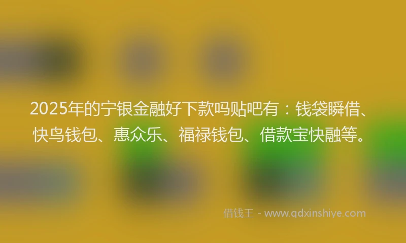 2025年的宁银金融好下款吗贴吧有：钱袋瞬借、快鸟钱包、惠众乐、福禄钱包、借款宝快融等。