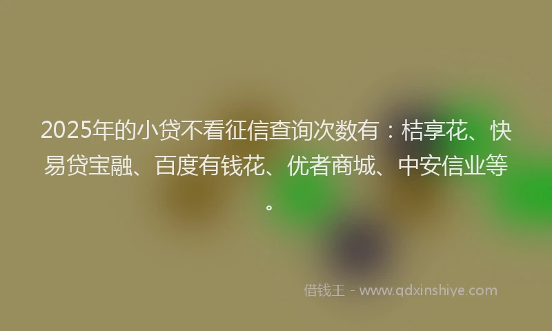 2025年的小贷不看征信查询次数有：桔享花、快易贷宝融、百度有钱花、优者商城、中安信业等。