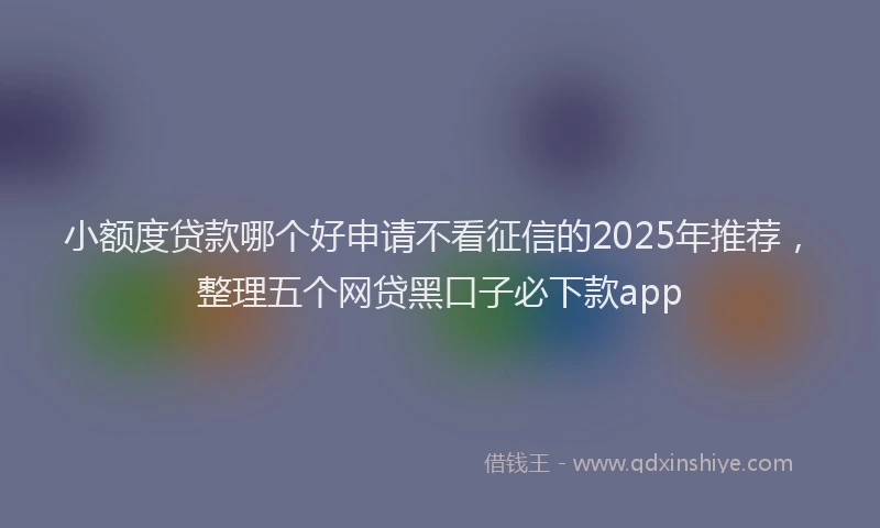 小额度贷款哪个好申请不看征信的2025年推荐，整理五个网贷黑口子必下款app