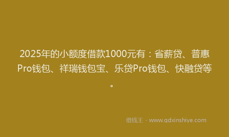 2025年的小额度借款1000元有：省薪贷、普惠Pro钱包、祥瑞钱包宝、乐贷Pro钱包、快融贷等。