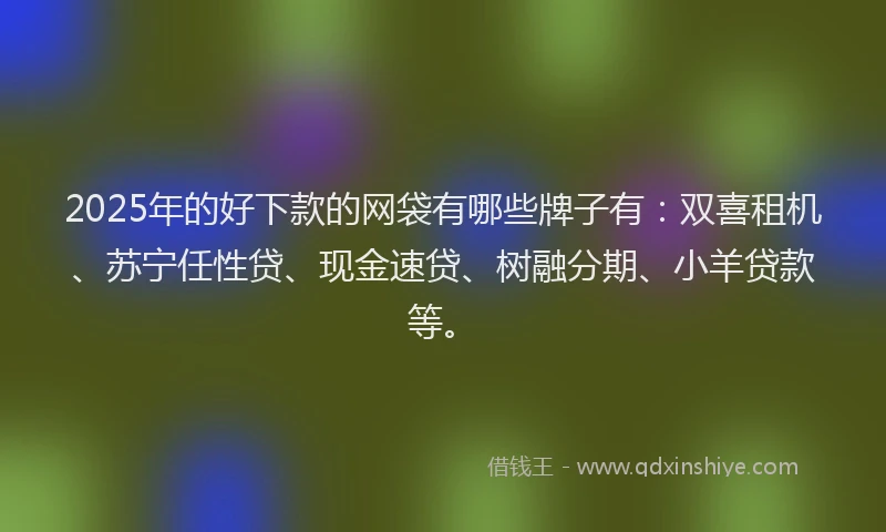2025年的好下款的网袋有哪些牌子有：双喜租机、苏宁任性贷、现金速贷、树融分期、小羊贷款等。